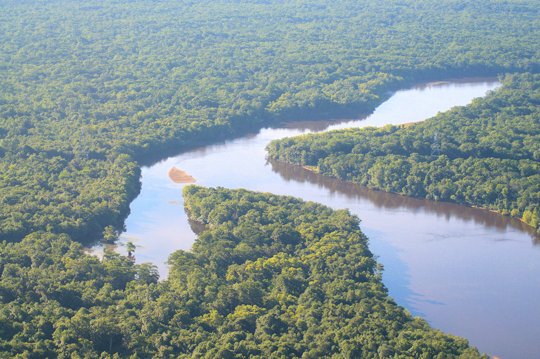 Aerial Views of the Altamaha River | Vanishing Georgia: Photographs by ...