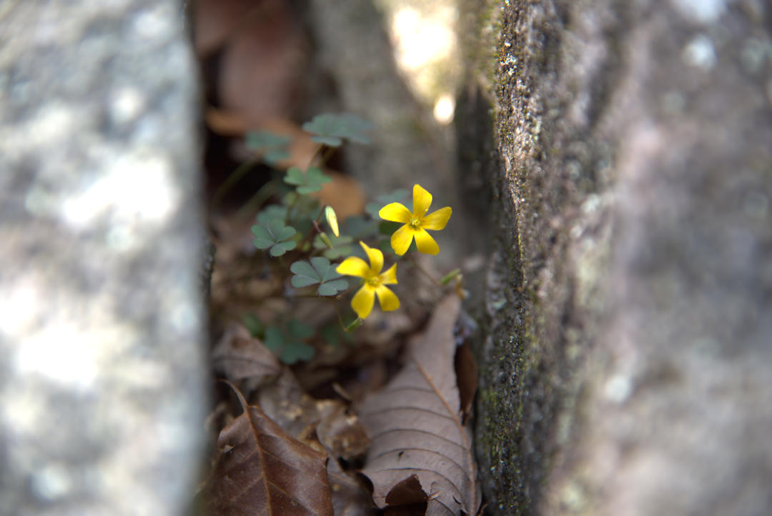 Cascade Falls on Pine Mountain Trail