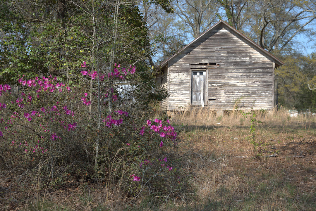 Ben Hill School, Upson County Vanishing Photographs by Brian