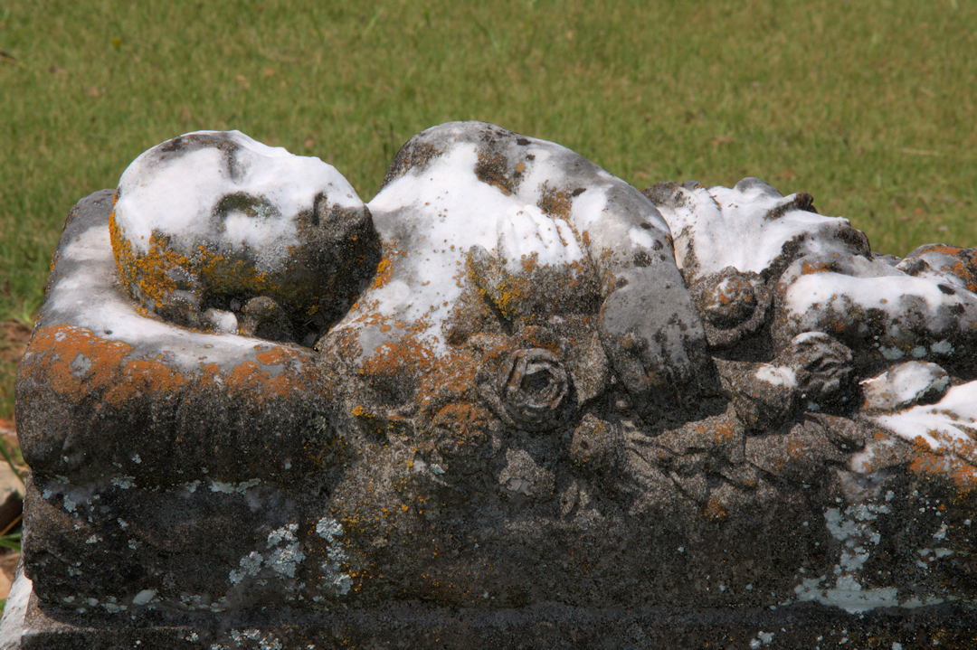 Culloden GA Vanishing Photographs by Brian Brown Page 2