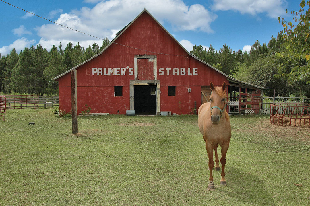 MITCHELL COUNTY GA Vanishing Photographs by Brian Brown