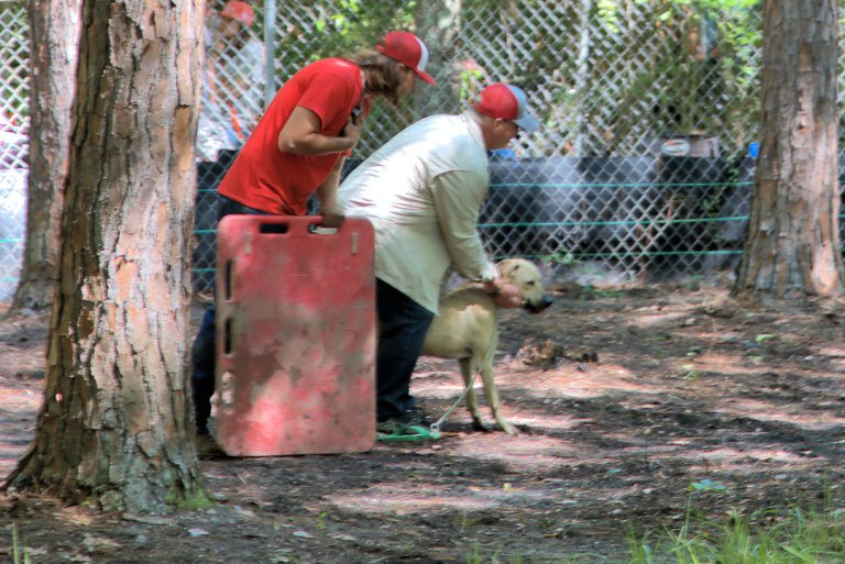 WILCOX COUNTY GA Vanishing Photographs by Brian Brown