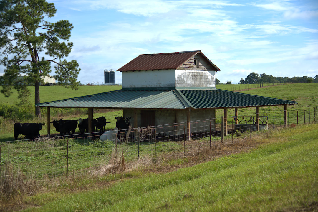 tobacco barn kountze texas Franklin County Barns Presenting the past: Significance of
